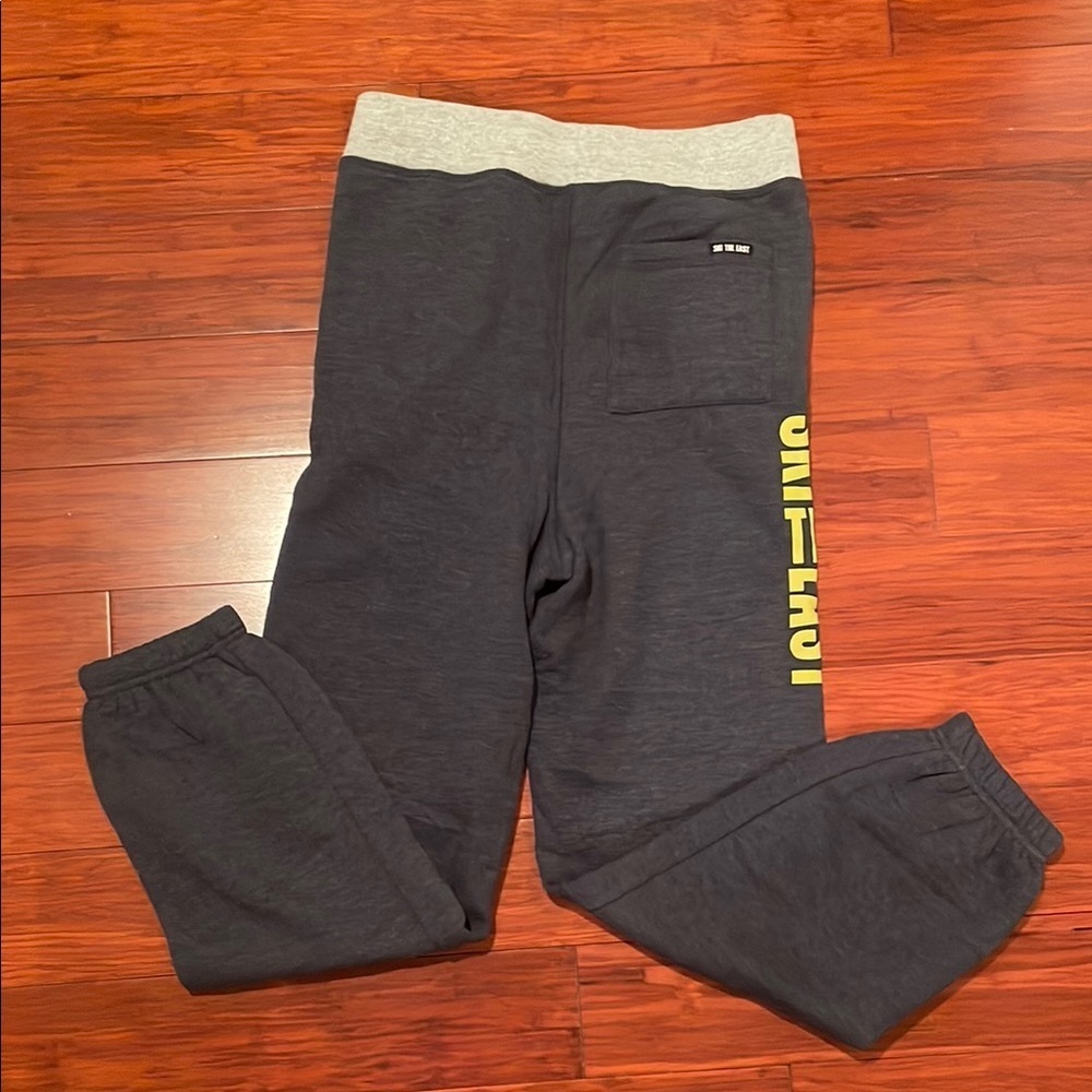 Youth “Ski The East” Sweatpants - Picture 7 of 8